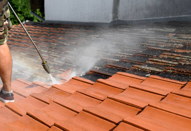 Best Residential Pressure Washing Services  in California, MD